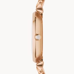 Emporio Armani Women’s Analog Stainless Steel Mother of pearl Dial 32mm Watch AR1909